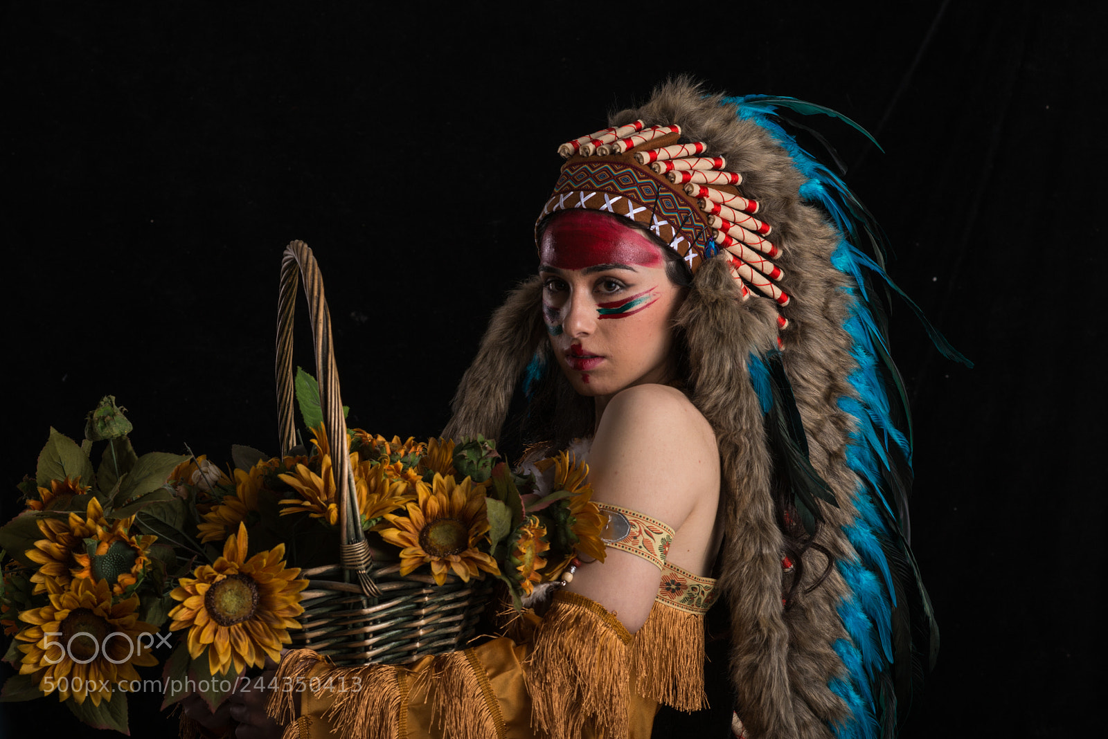 Nikon D800E sample photo. The head ornaments of photography