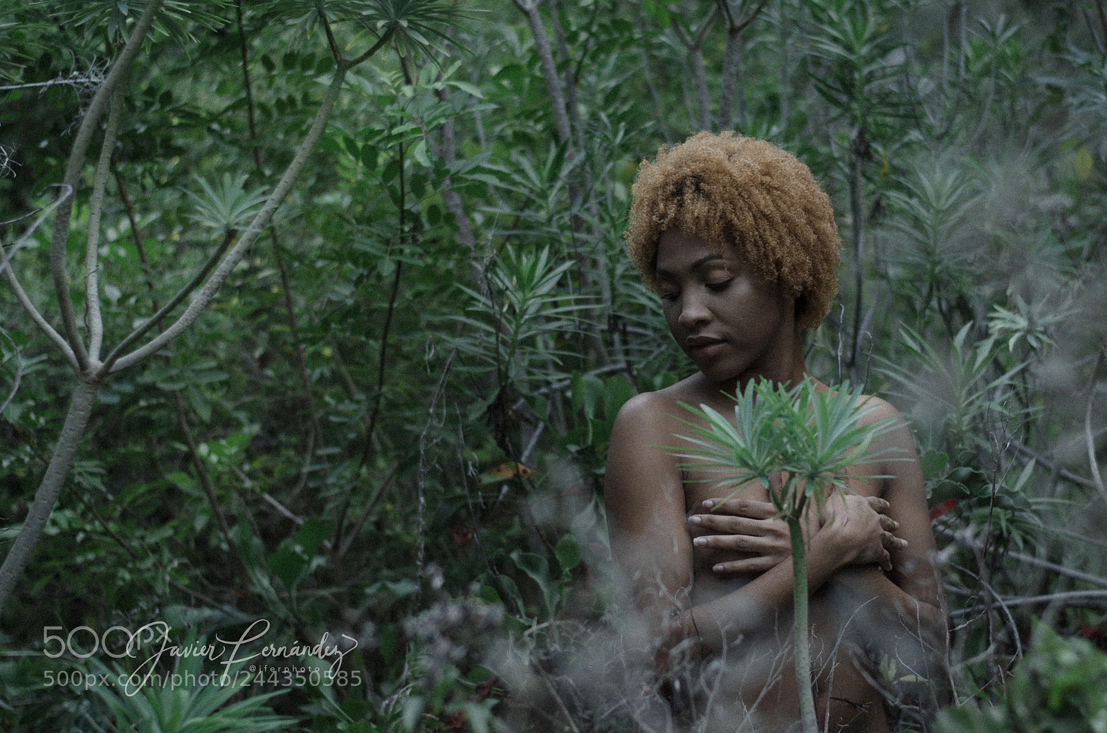 Nikon D5100 sample photo. Untitled photography