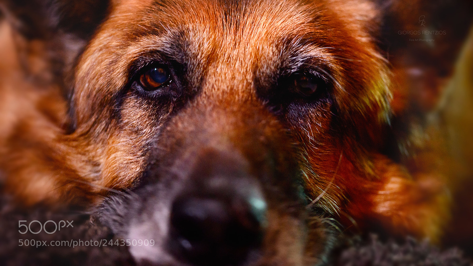 Nikon D800 sample photo. Rigas photography