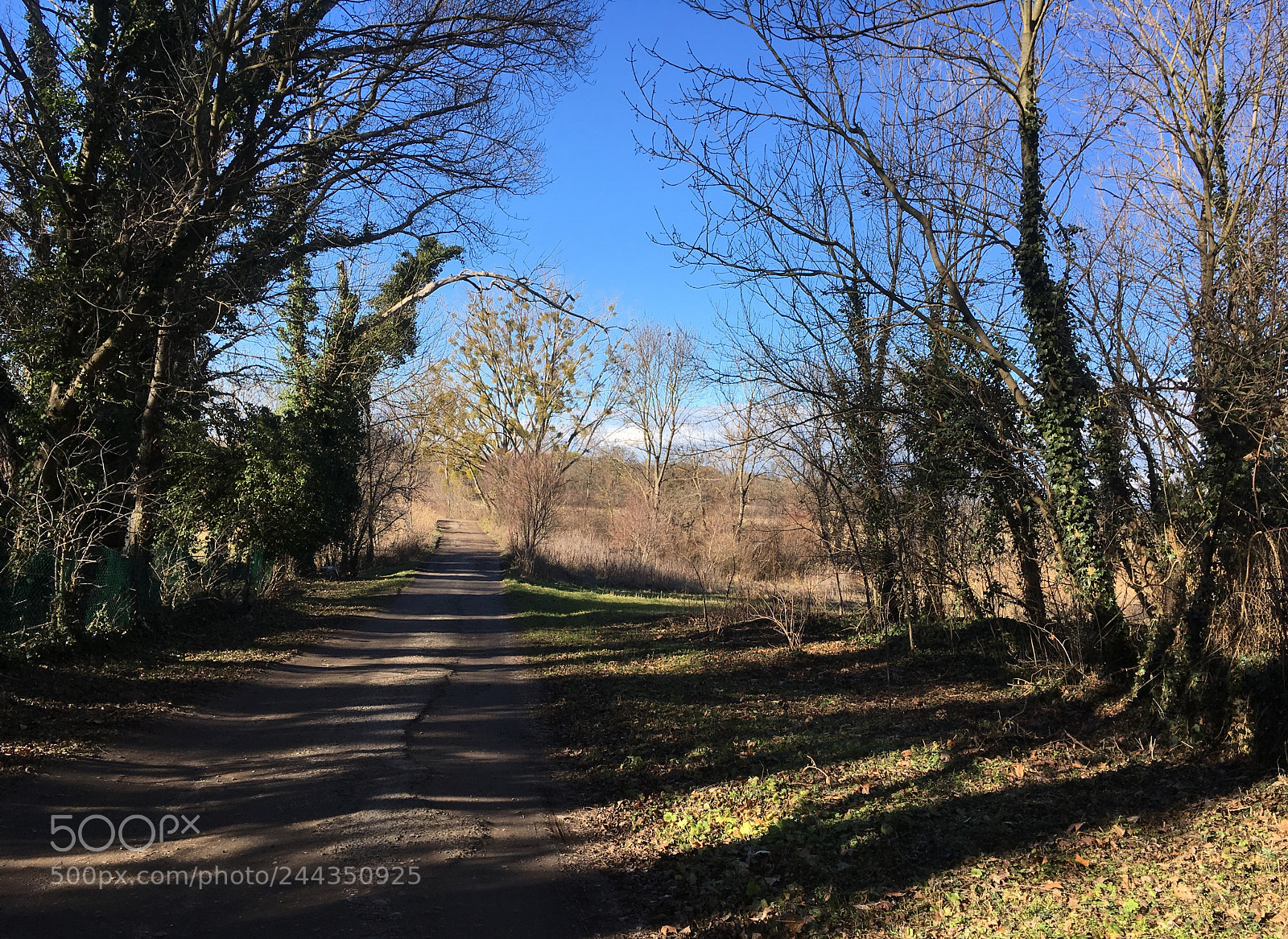 Apple iPhone SE sample photo. Spring in the air photography