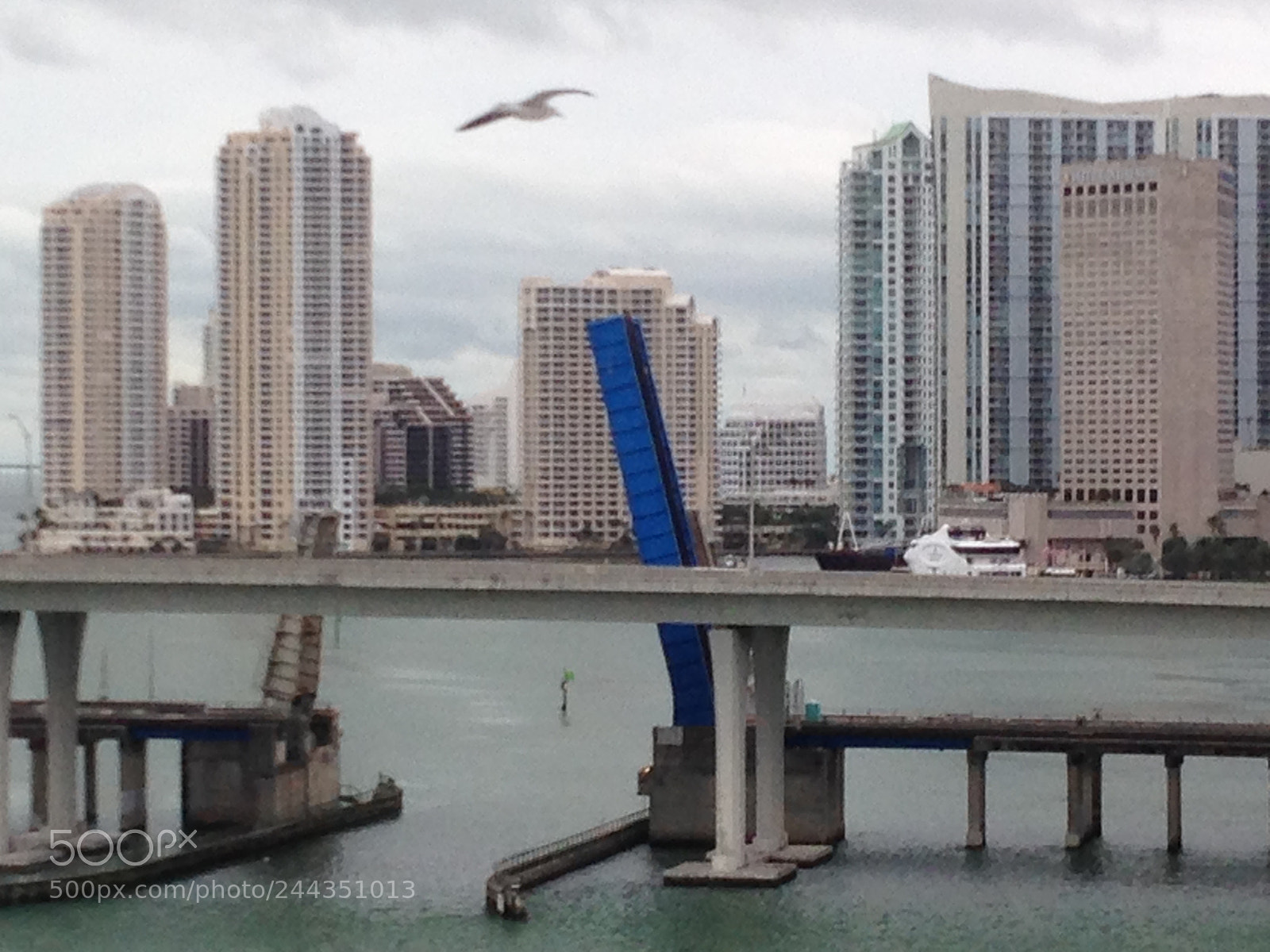 Apple iPhone 5 sample photo. Miami photography
