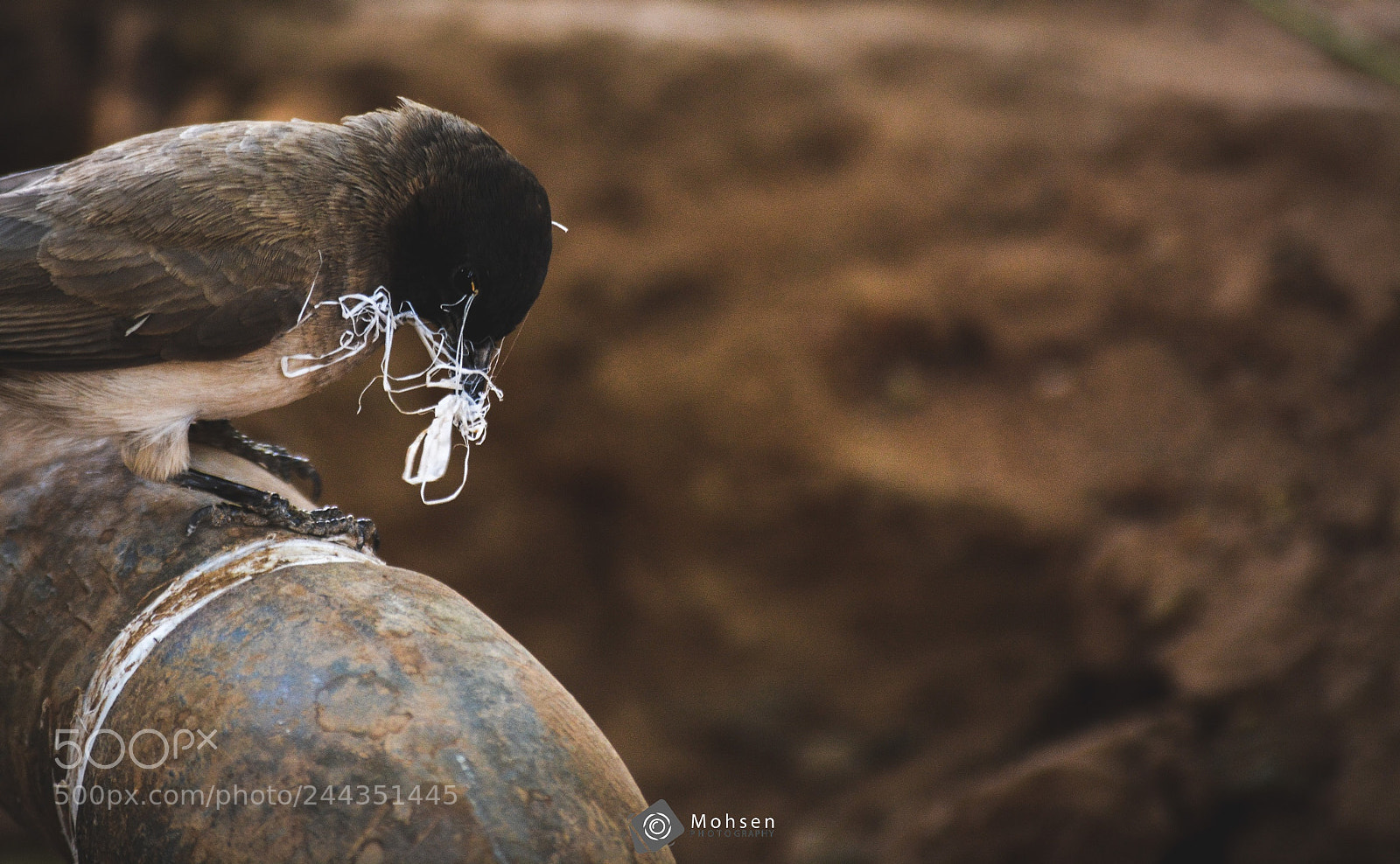Nikon D7100 sample photo. Untitled photography