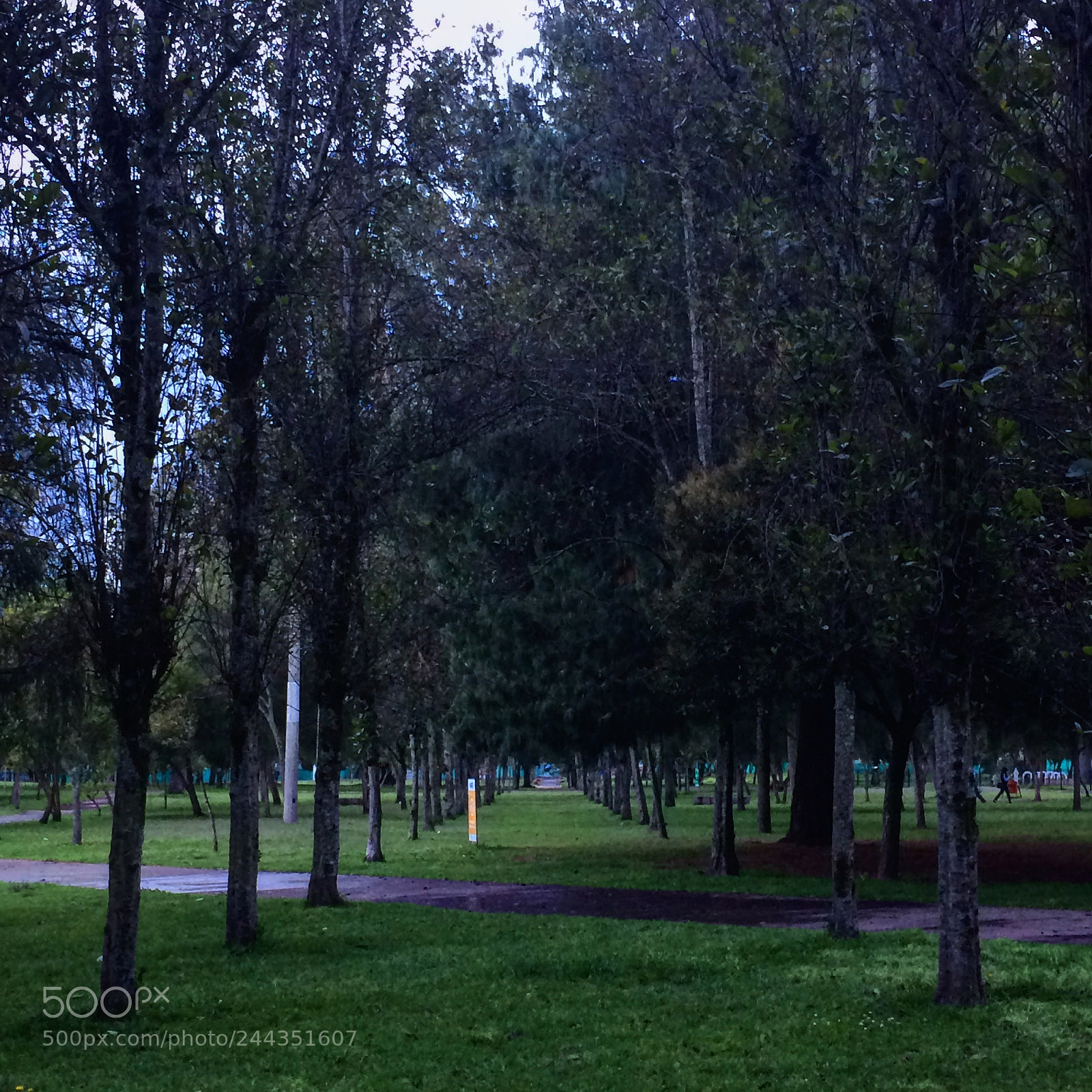 Apple iPhone 5s sample photo. Infinity / infinito photography