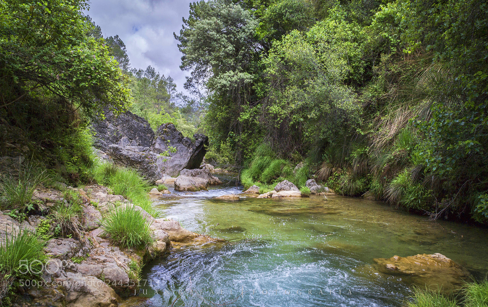 Nikon D3100 sample photo. Rio borosa. parque natural photography