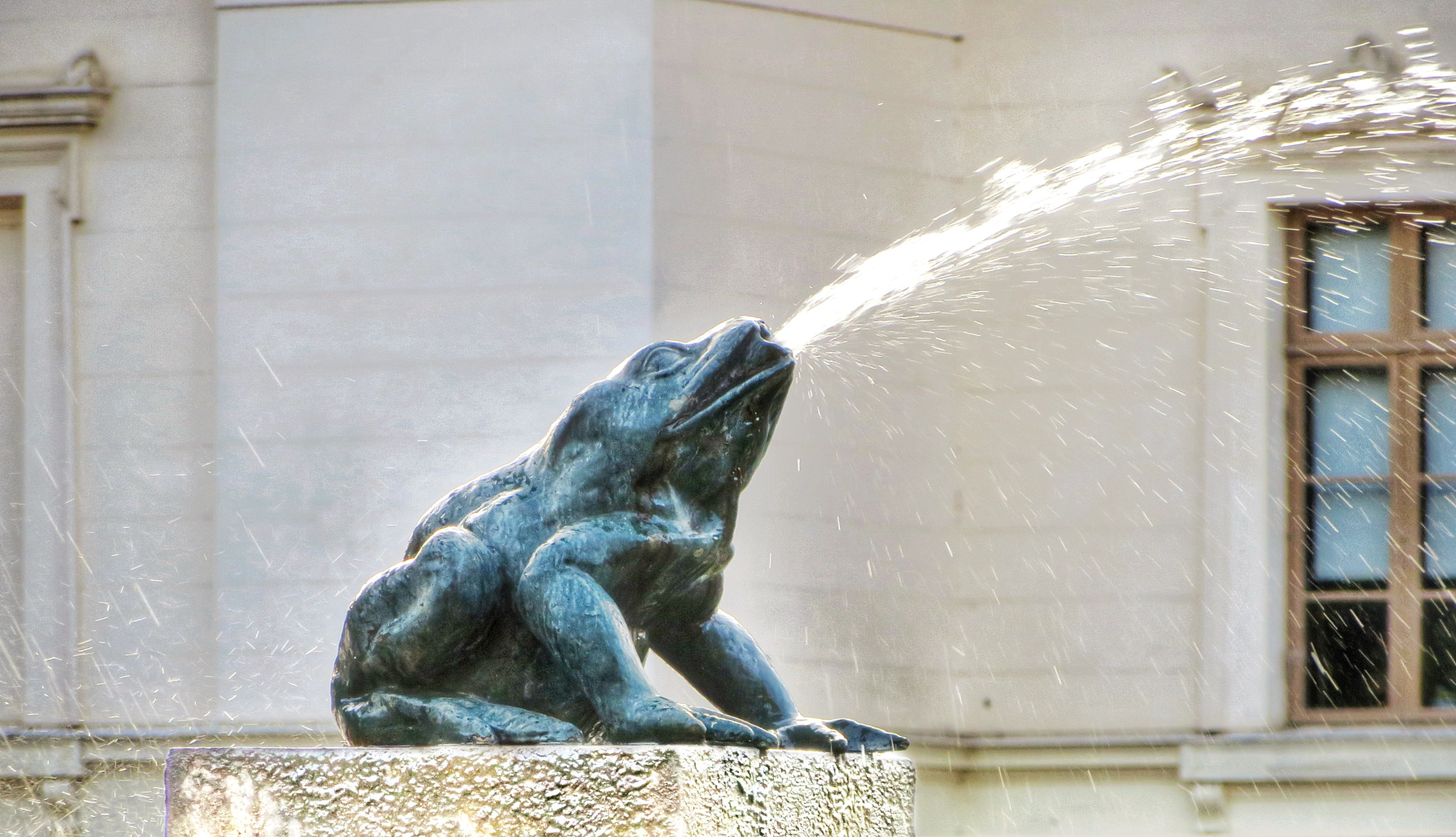 Canon PowerShot SX280 HS sample photo. Talk like water photography