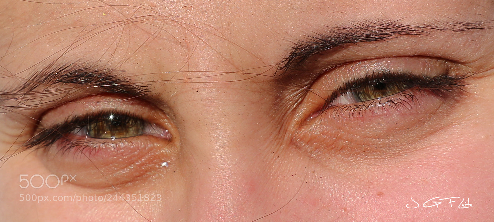 Canon EOS 7D Mark II sample photo. A penny for my photography