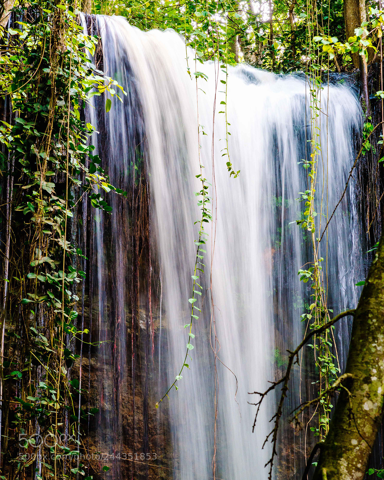 Samsung NX1 sample photo. Tropical waterfall photography