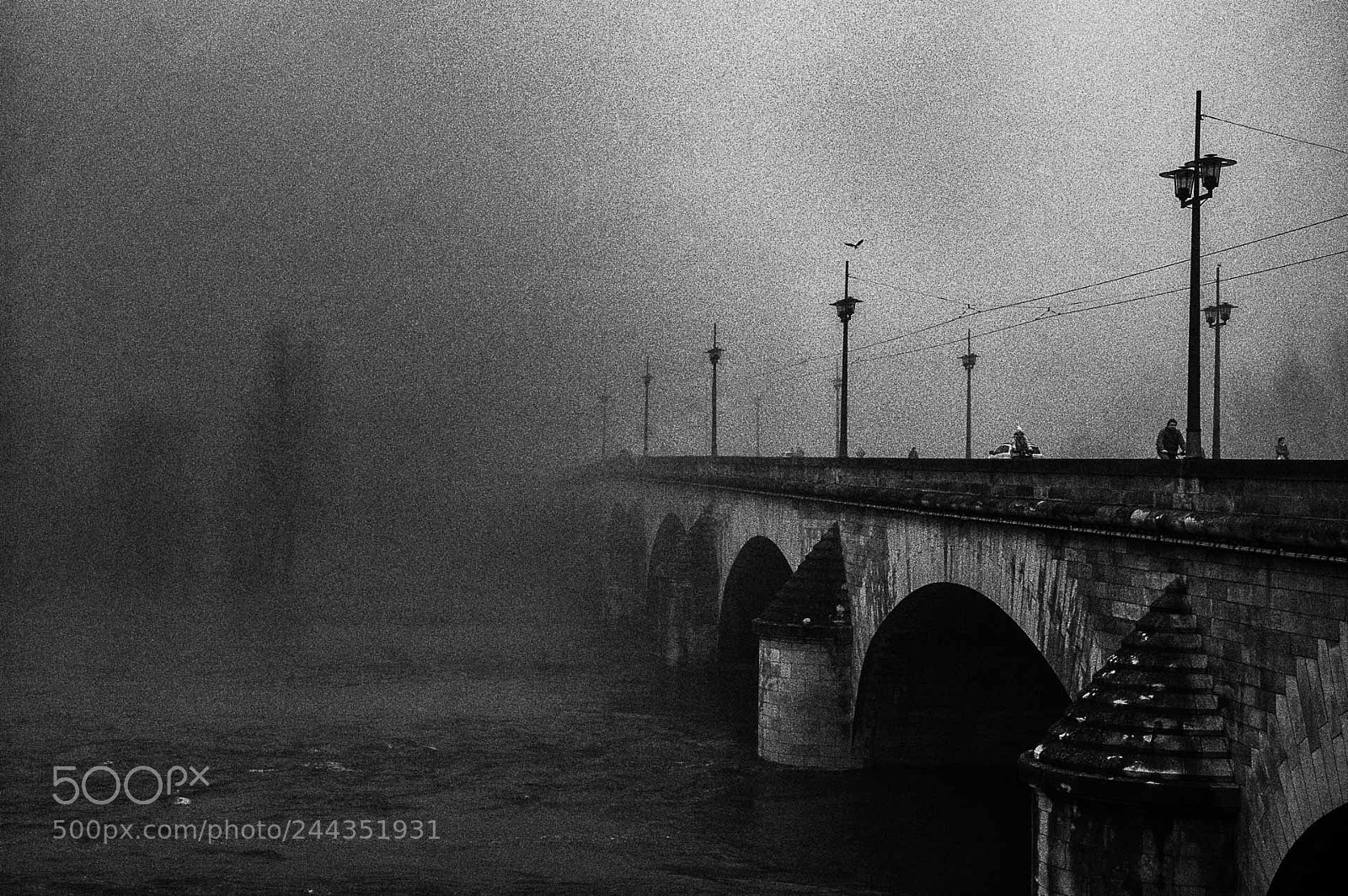 Nikon D70s sample photo. Mist and rain on photography
