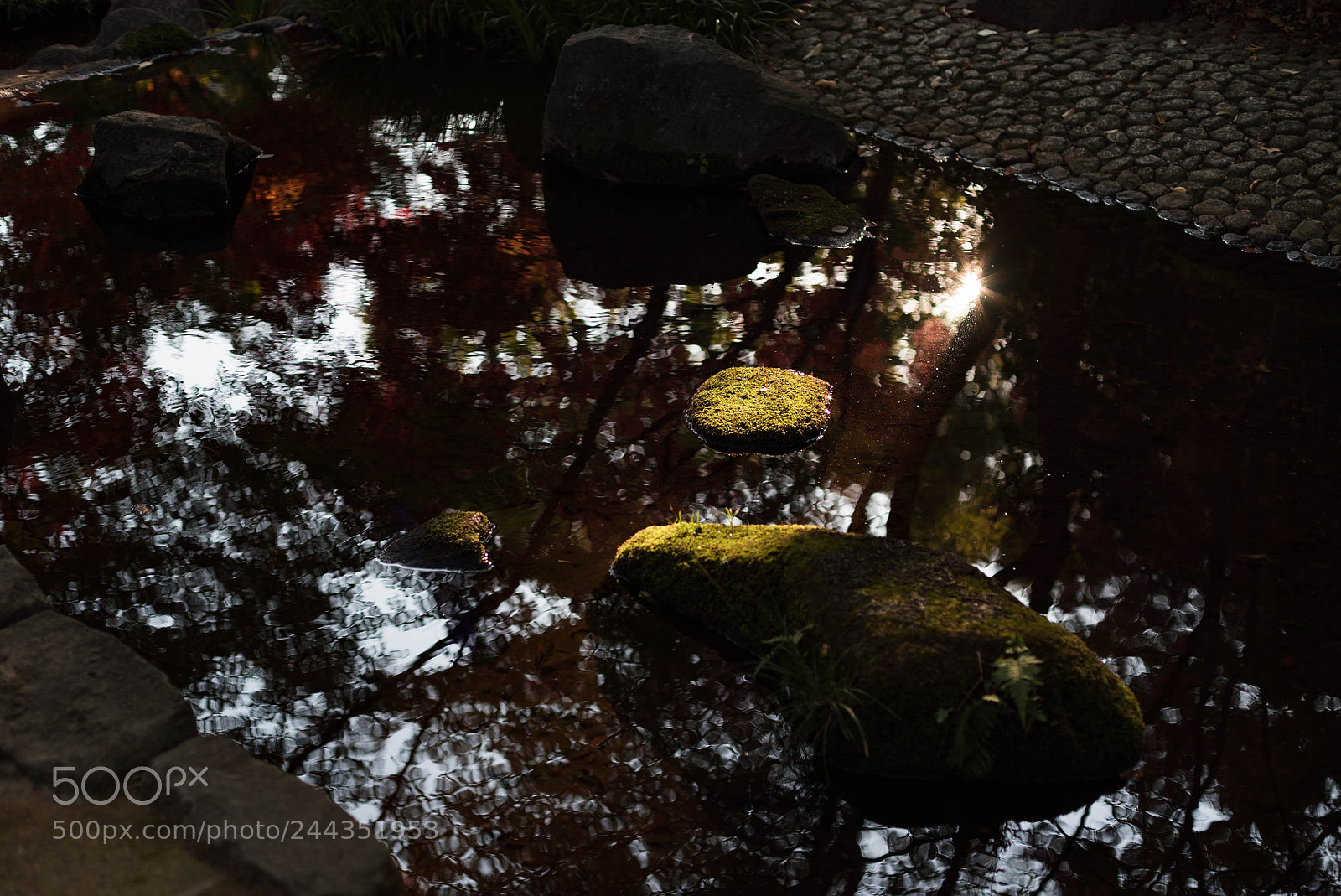 Sony a7S sample photo. Dsc photography