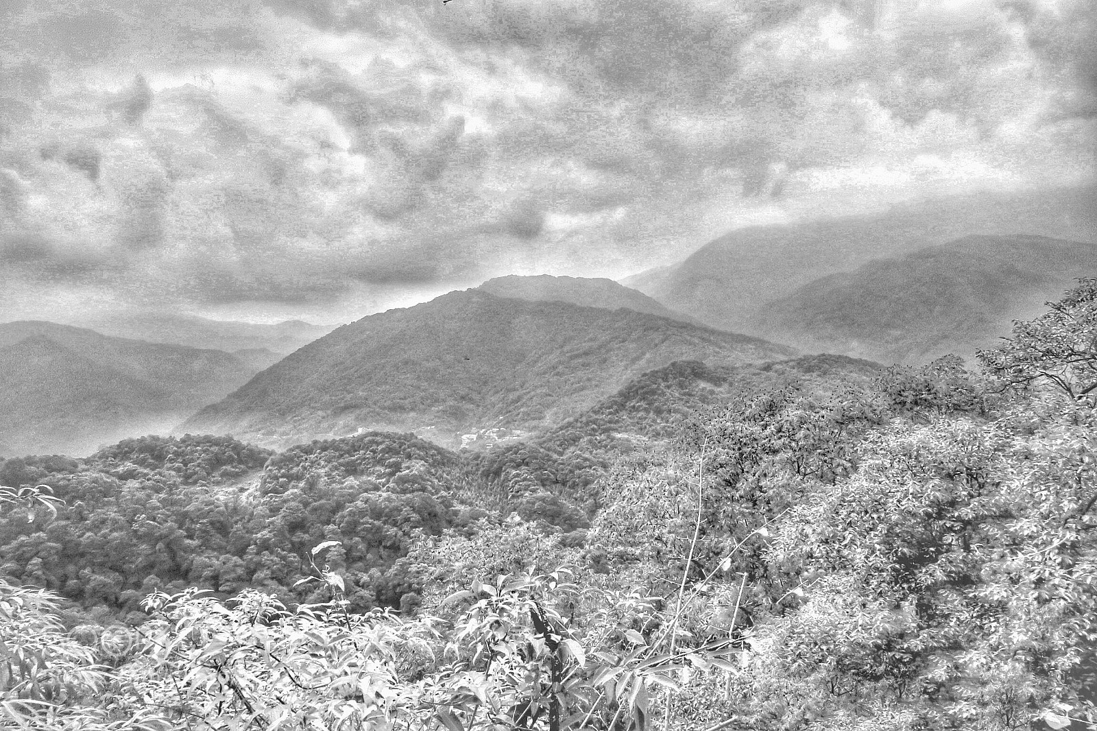 Canon PowerShot SX60 HS sample photo. 青城山3 photography