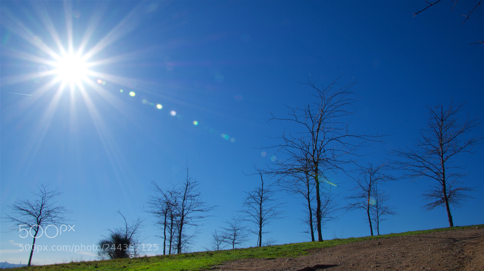 Nikon D7200 sample photo. Sol de invierno photography
