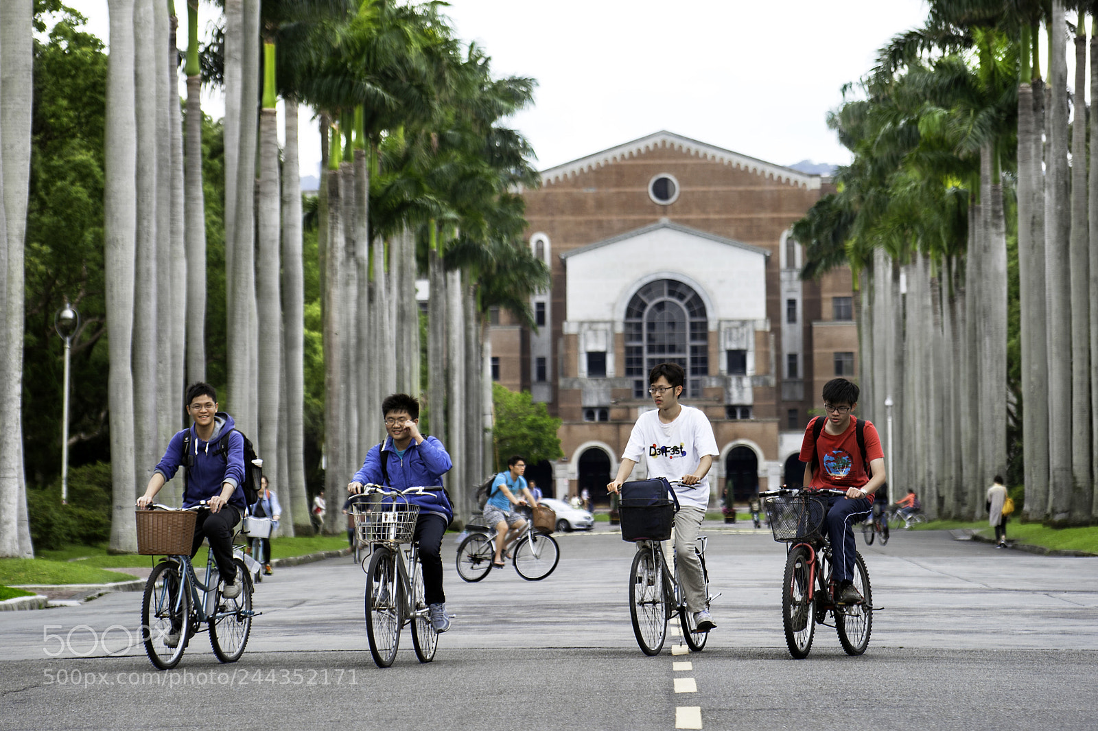 Nikon D700 sample photo. 國立臺灣大學, national taiwan university photography