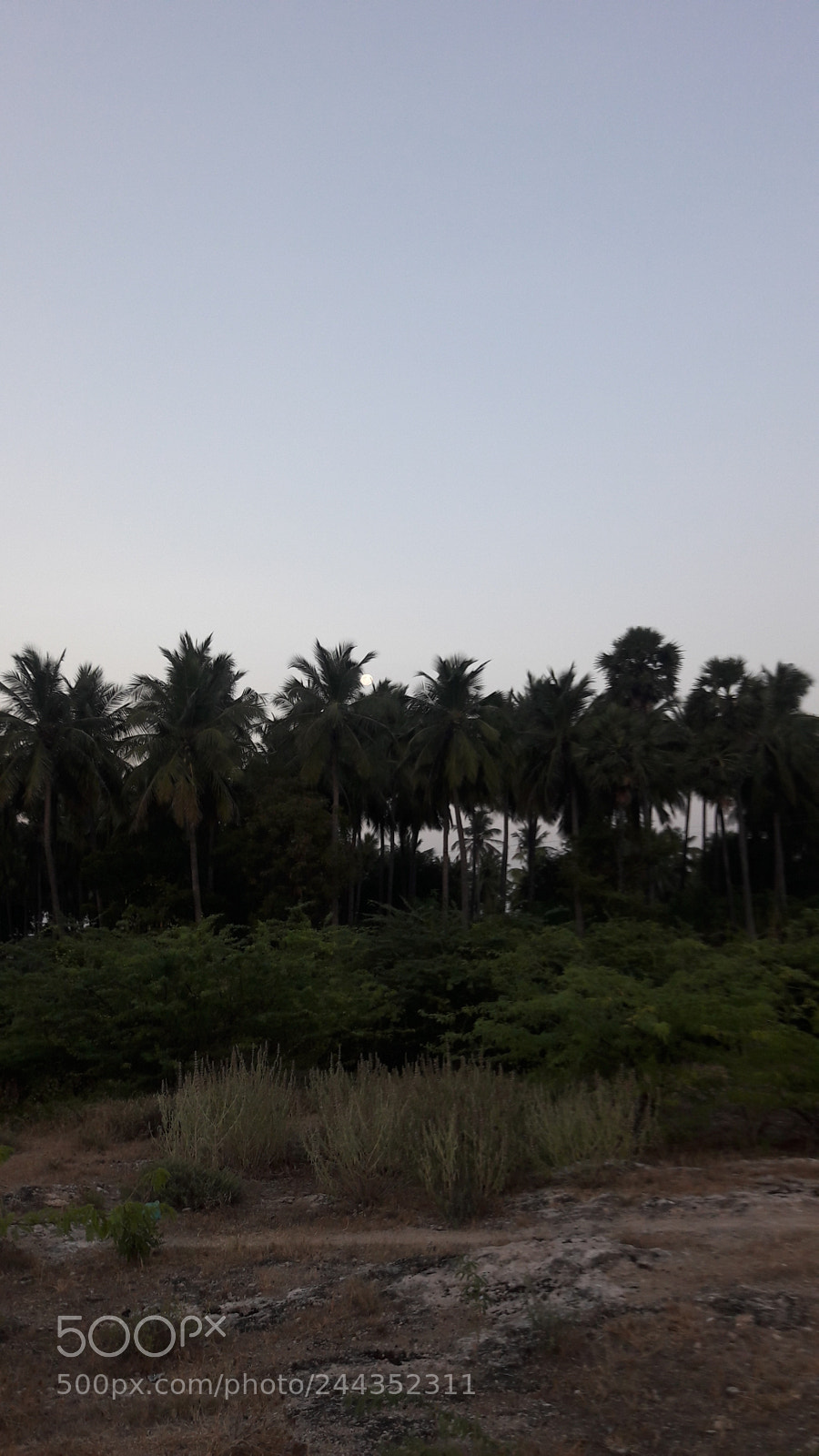 Samsung Galaxy J7 sample photo. Untitled photography