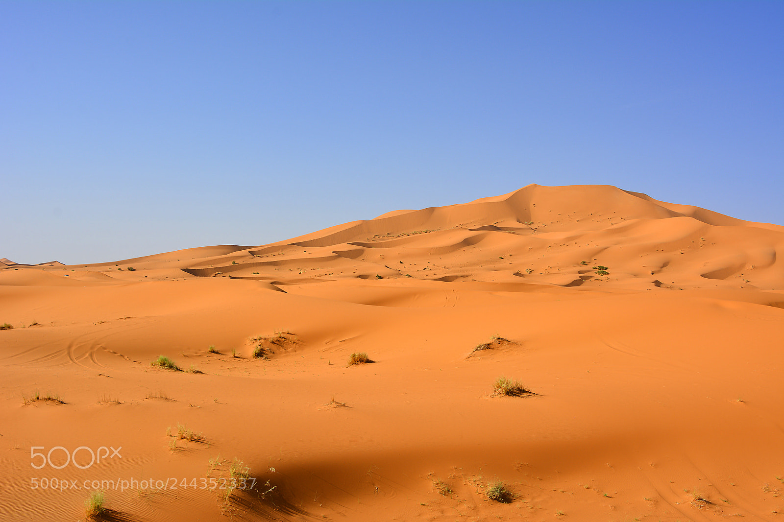 Nikon D7100 sample photo. Erg chebbi photography