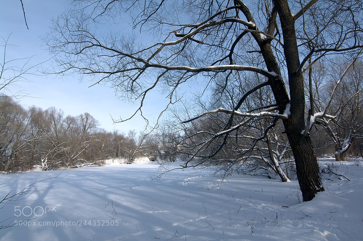 Pentax K-7 sample photo. Sun day in moscow. photography