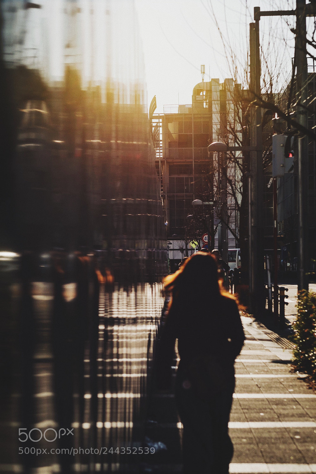 Fujifilm X-T2 sample photo. Untitled photography
