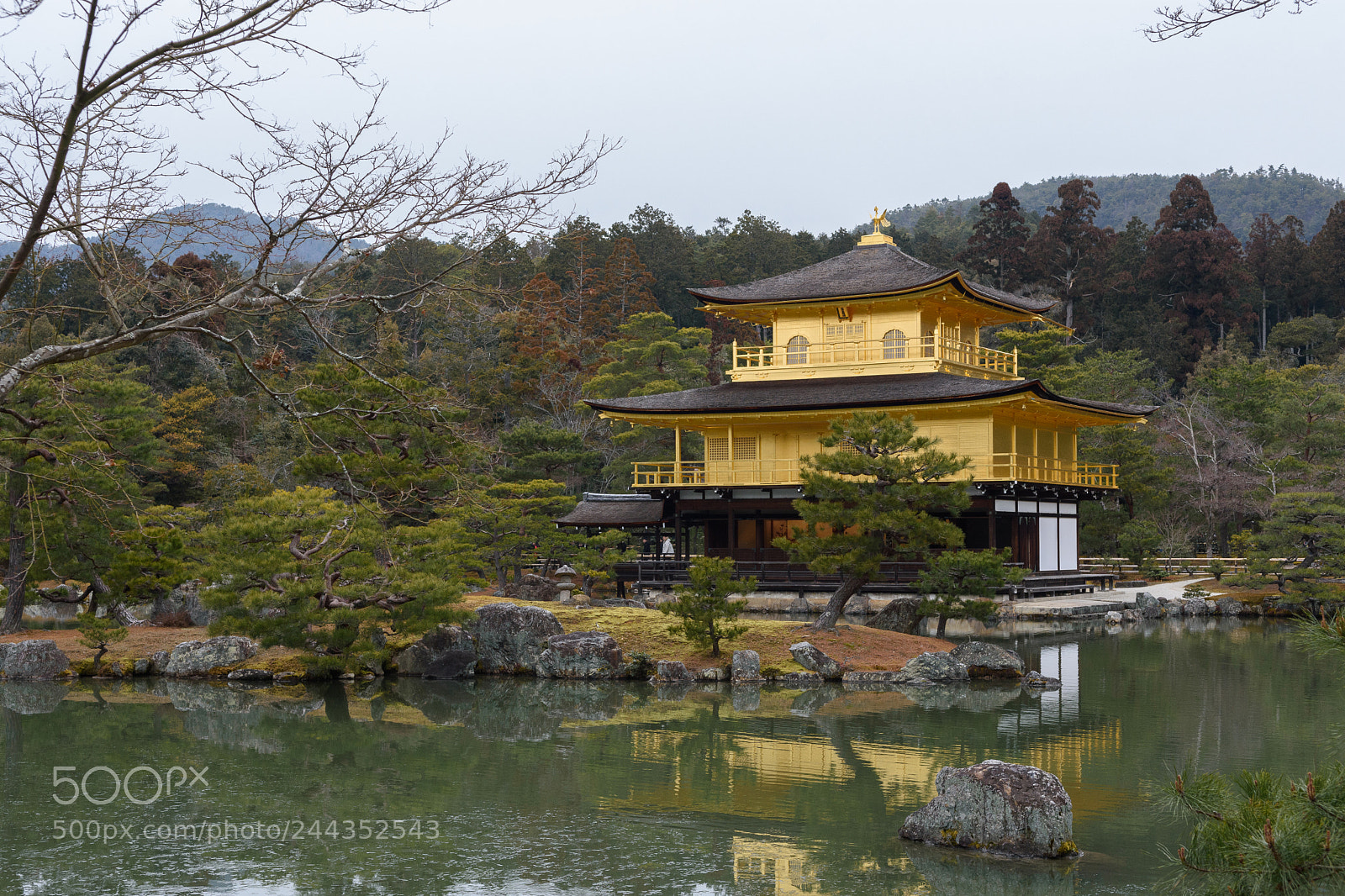 Nikon D7200 sample photo. Golden temple photography