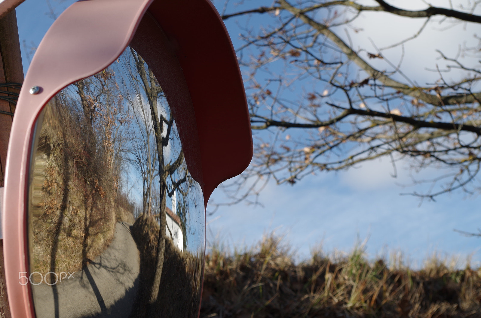 Pentax K-50 sample photo. Through the looking-glass photography
