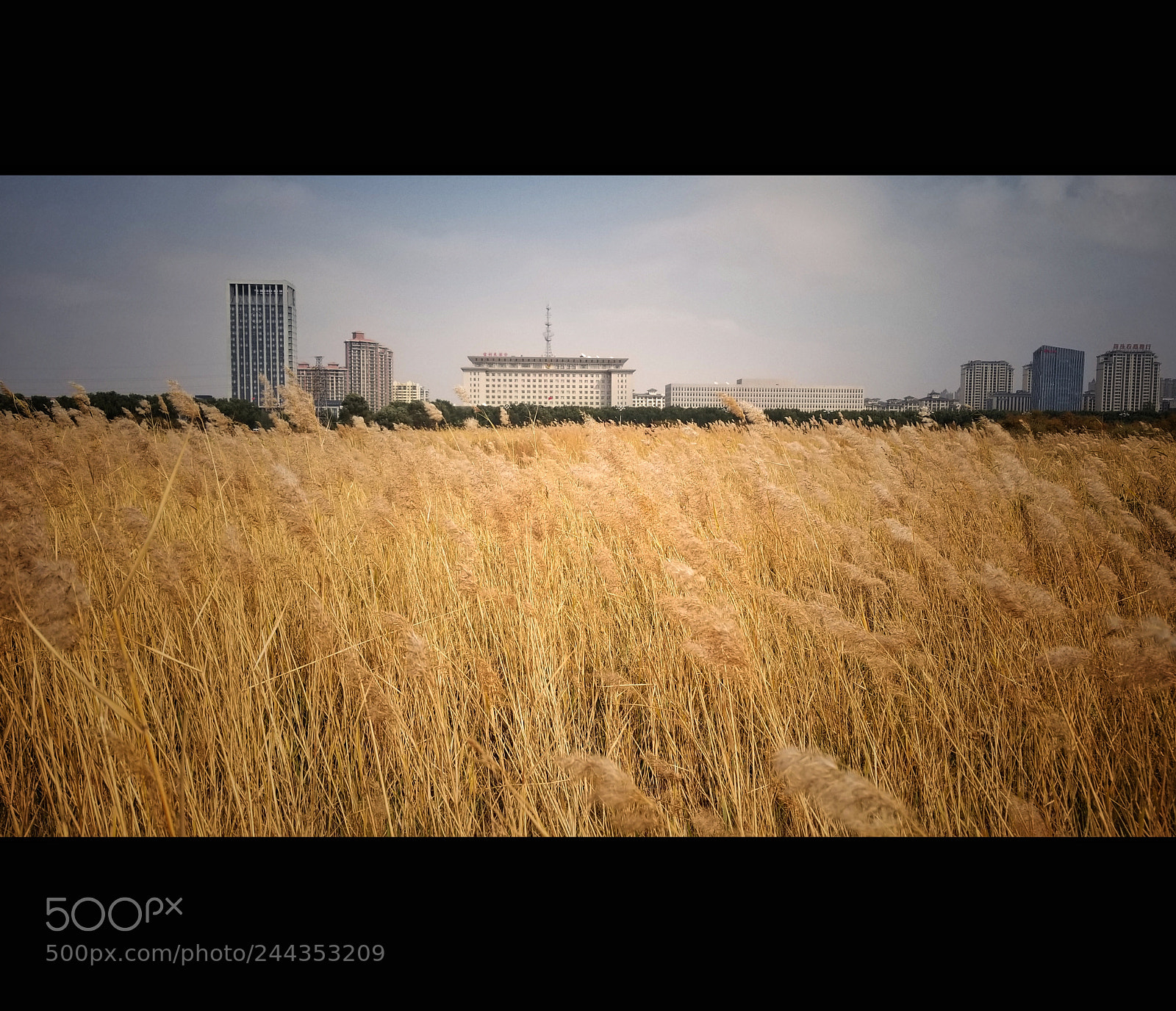 Samsung Galaxy S8+ sample photo. Prairie in the city photography