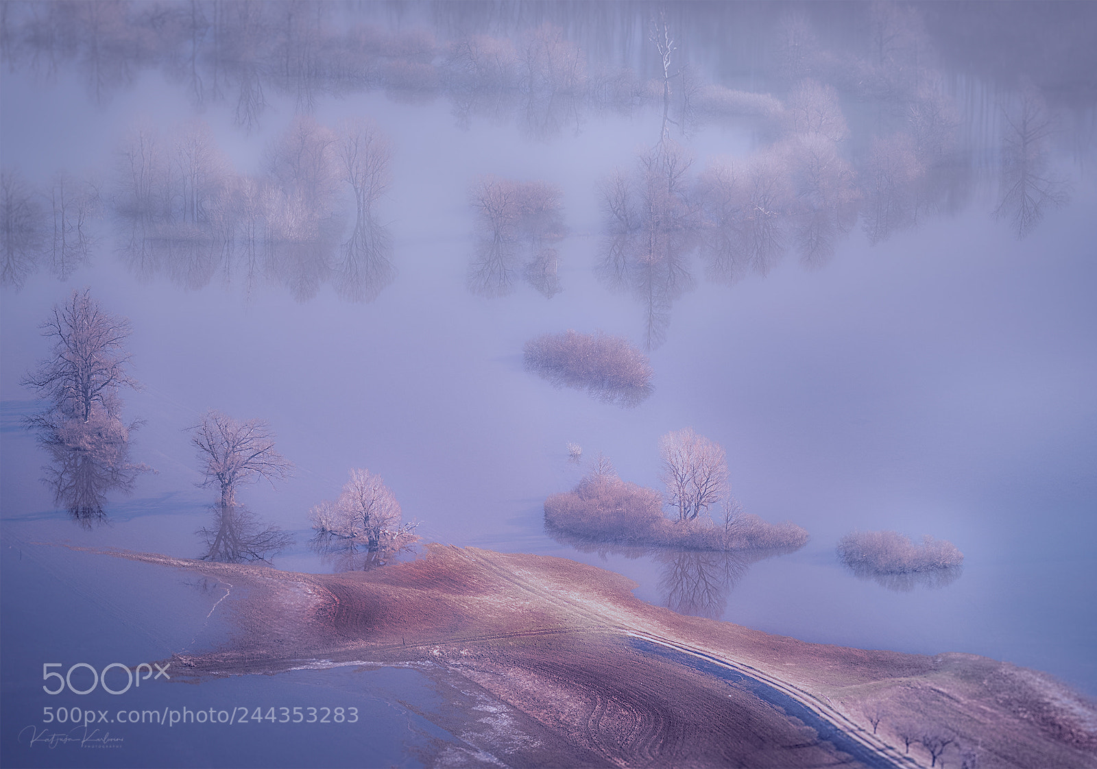 Nikon D610 sample photo. Flooded ii photography
