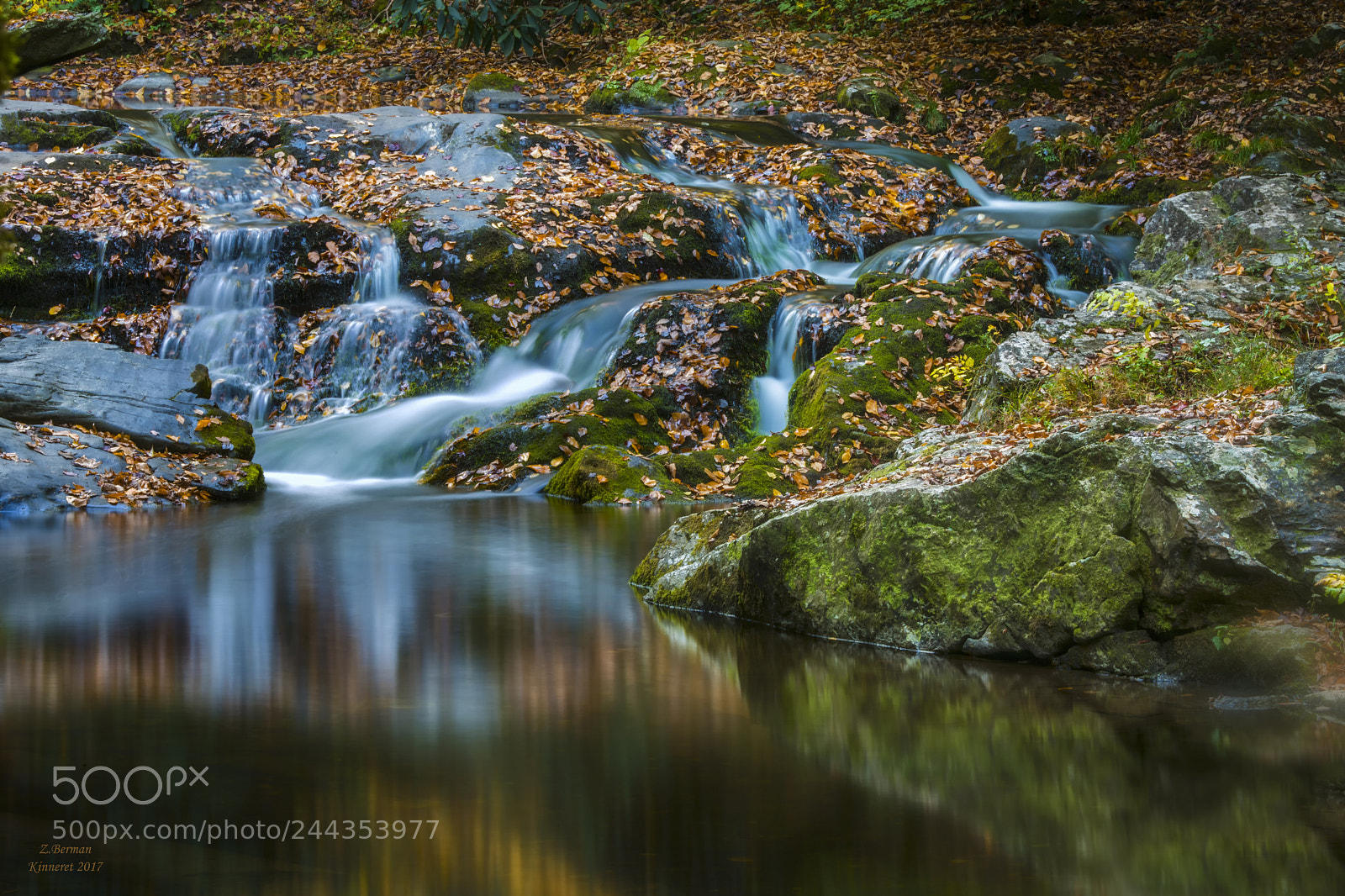 Nikon D810 sample photo. Smokey mountaints autumn photography