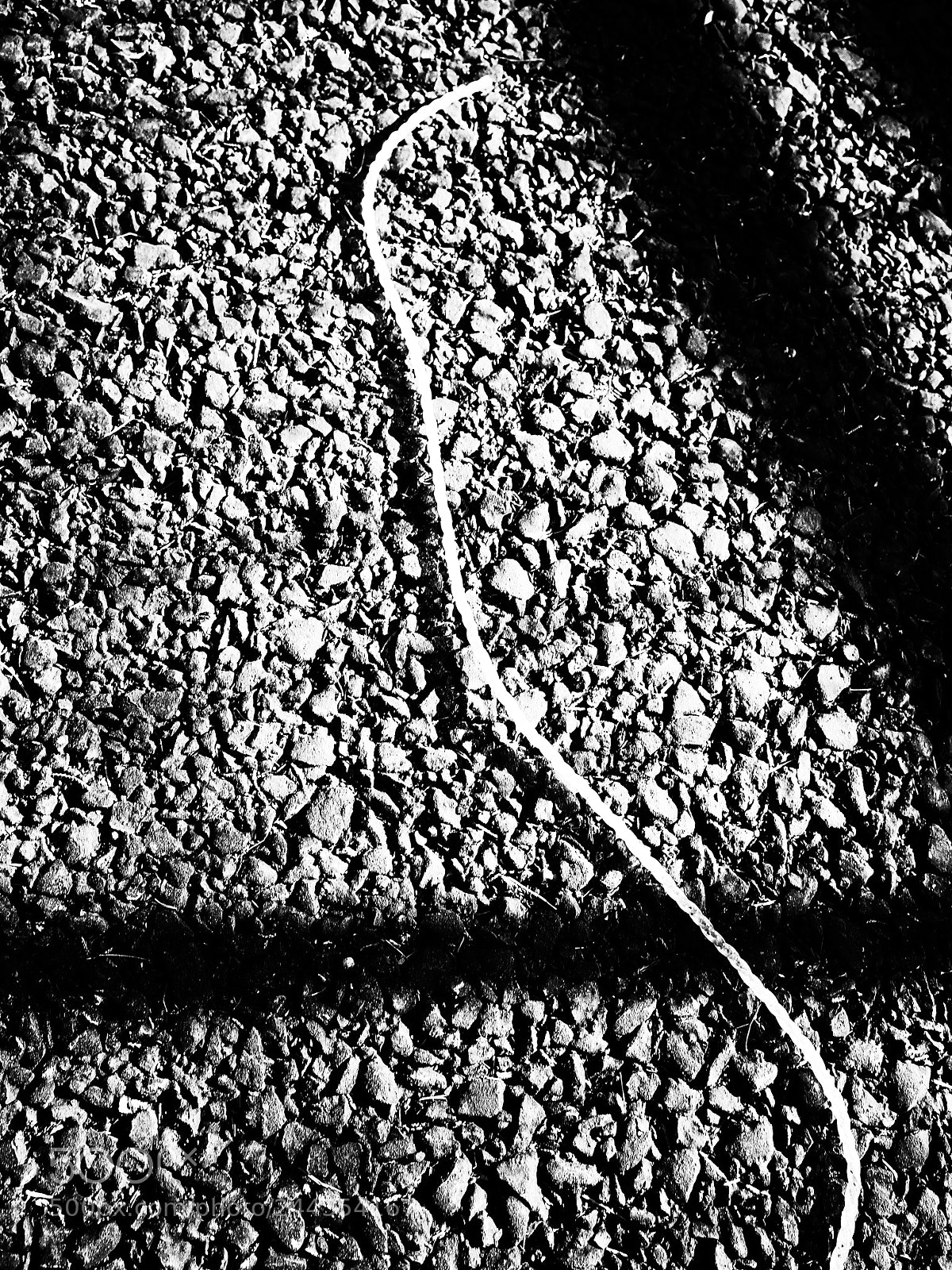 Ricoh GR II sample photo. Untitled photography