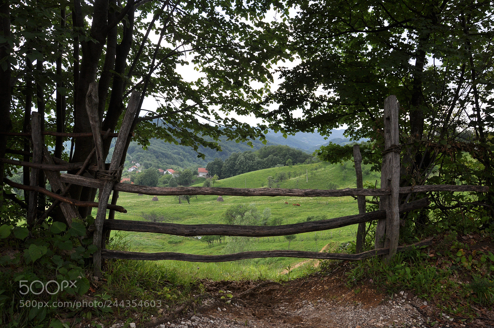 Nikon D5000 sample photo. Bosna photography