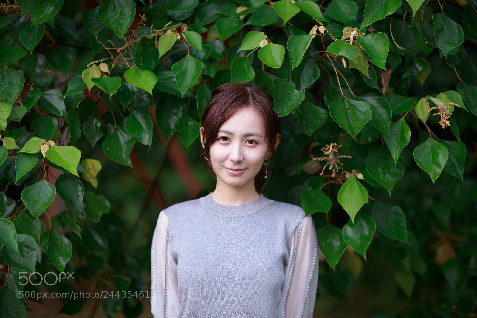 Canon EOS-1D X sample photo. After rain photography