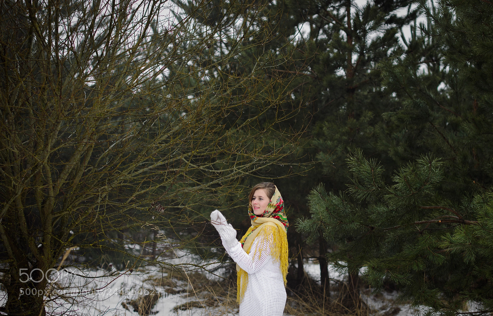 Nikon D5100 sample photo. Пригоди у лісі.... photography