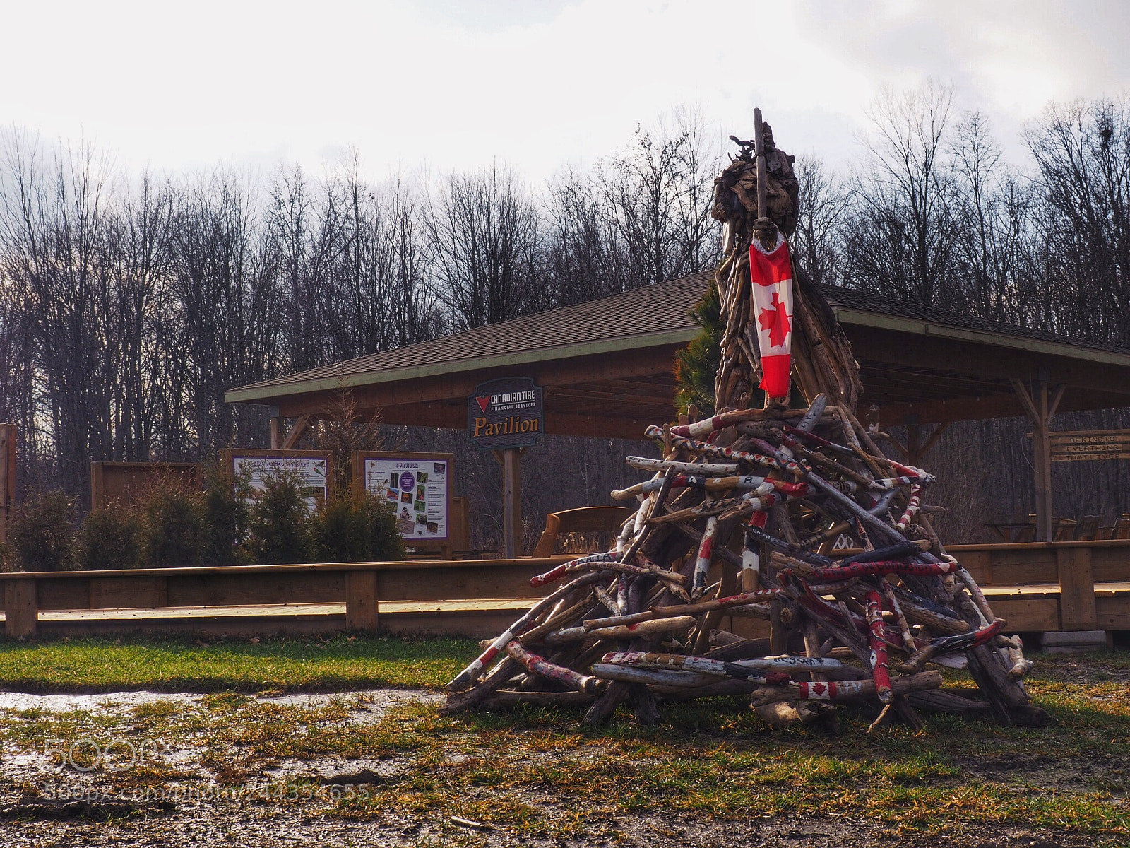Olympus OM-D E-M10 II sample photo. Canadian flag photography