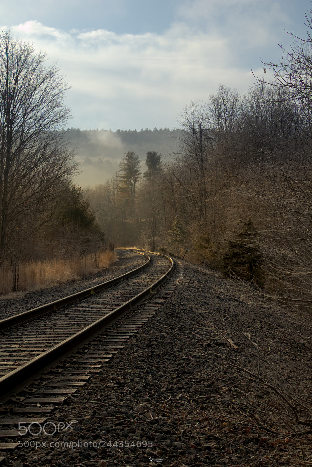Canon EOS M5 sample photo. Bend in the road photography