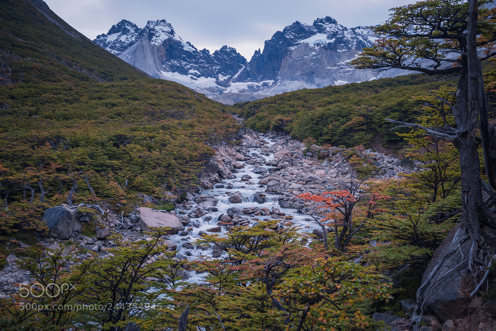 Pentax K-1 sample photo. Torres del paine national photography