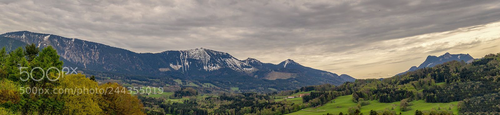 Sony a7 II sample photo. Afternoon photography