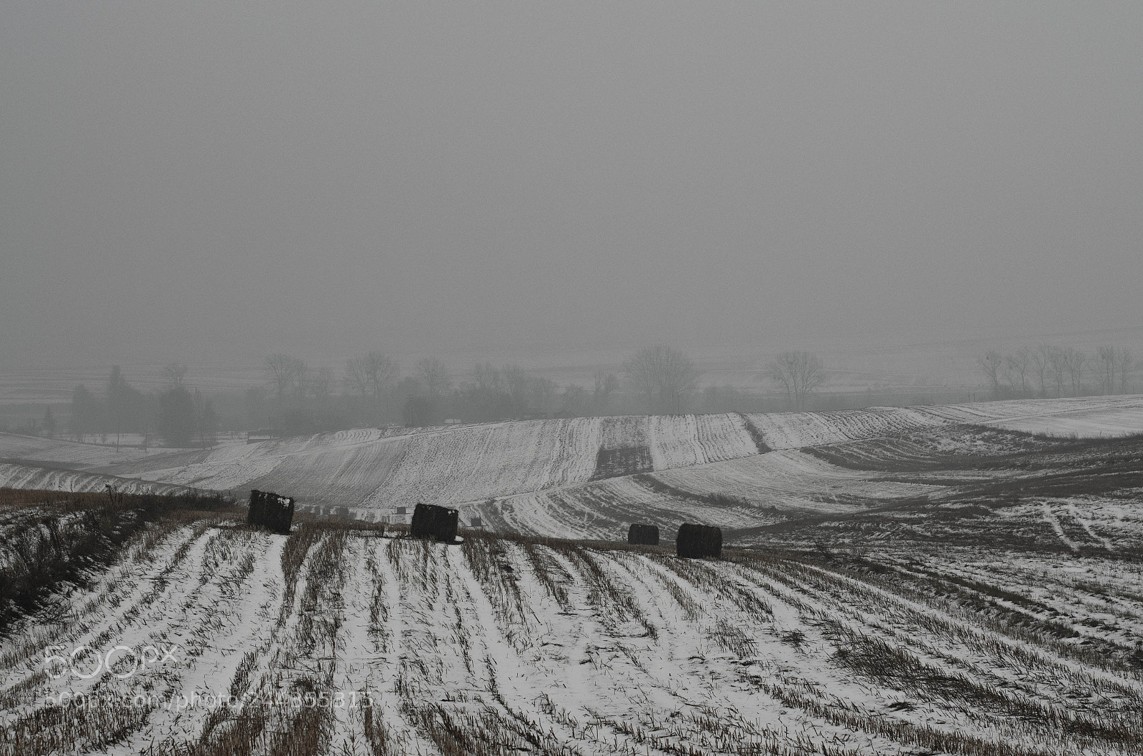 Nikon D5100 sample photo. Зима... photography