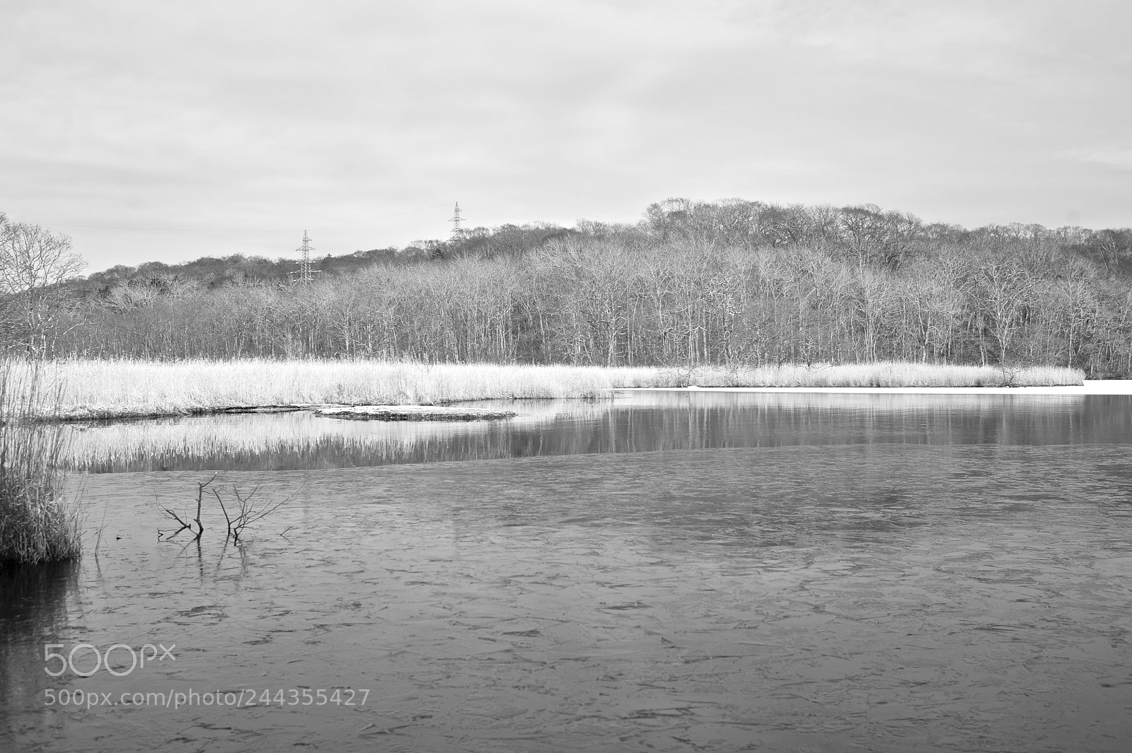 Nikon D700 sample photo. Winter scene photography