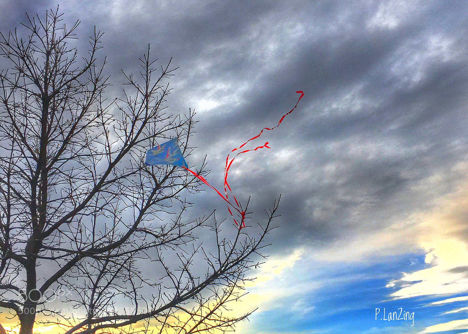 Apple iPhone 6s sample photo. A treed kite... photography