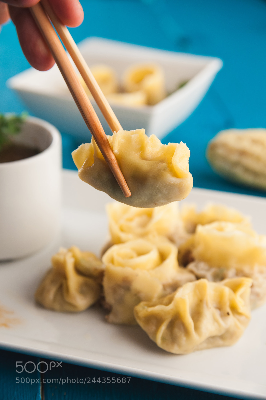 Nikon D90 sample photo. Chinese food photography