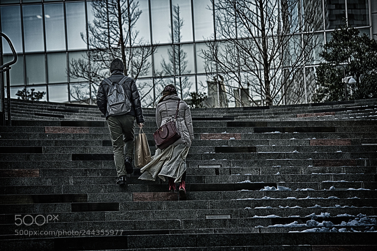 Nikon D600 sample photo. Winter day photography