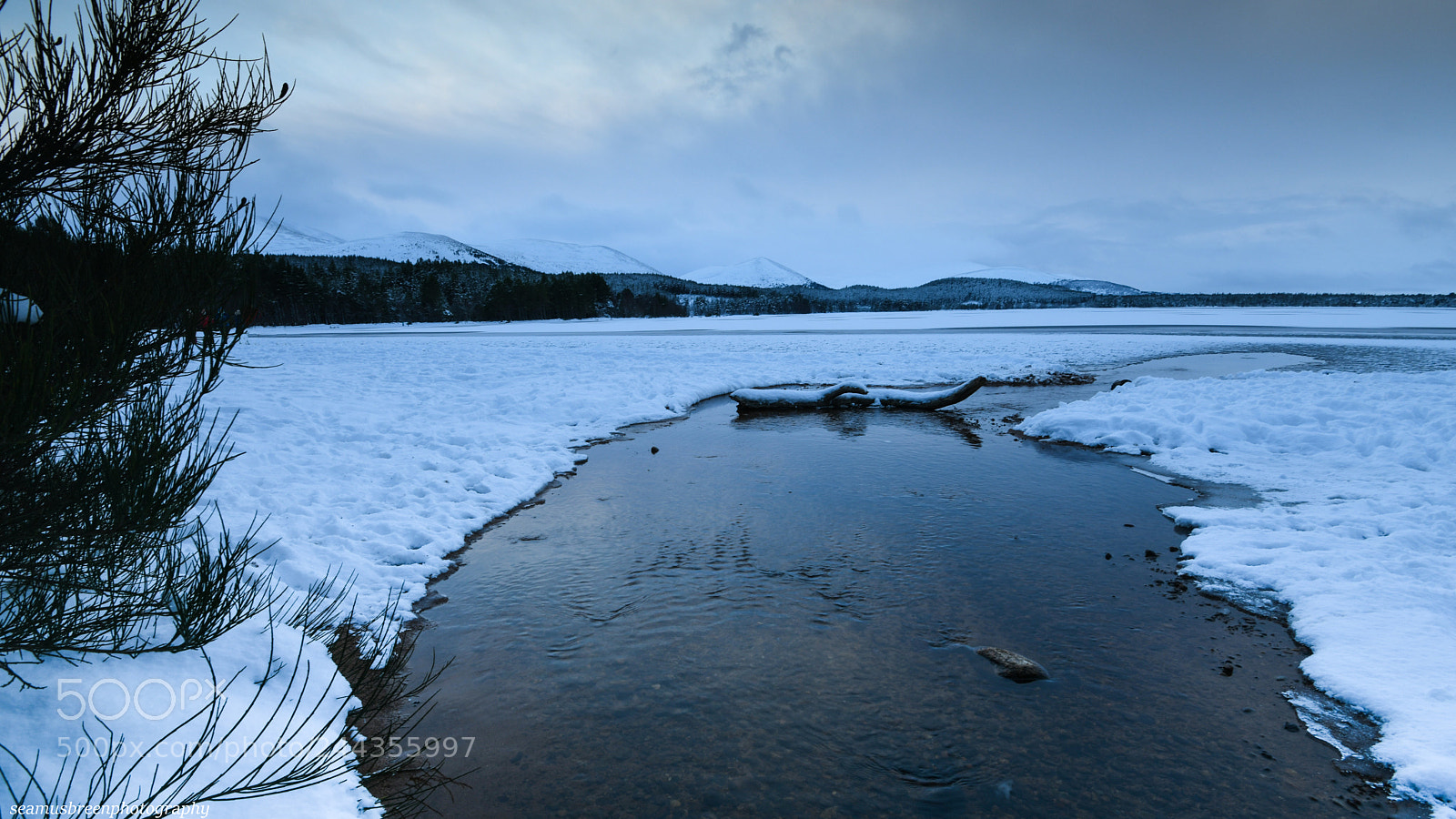 Nikon D850 sample photo. Loch morlich in snow photography