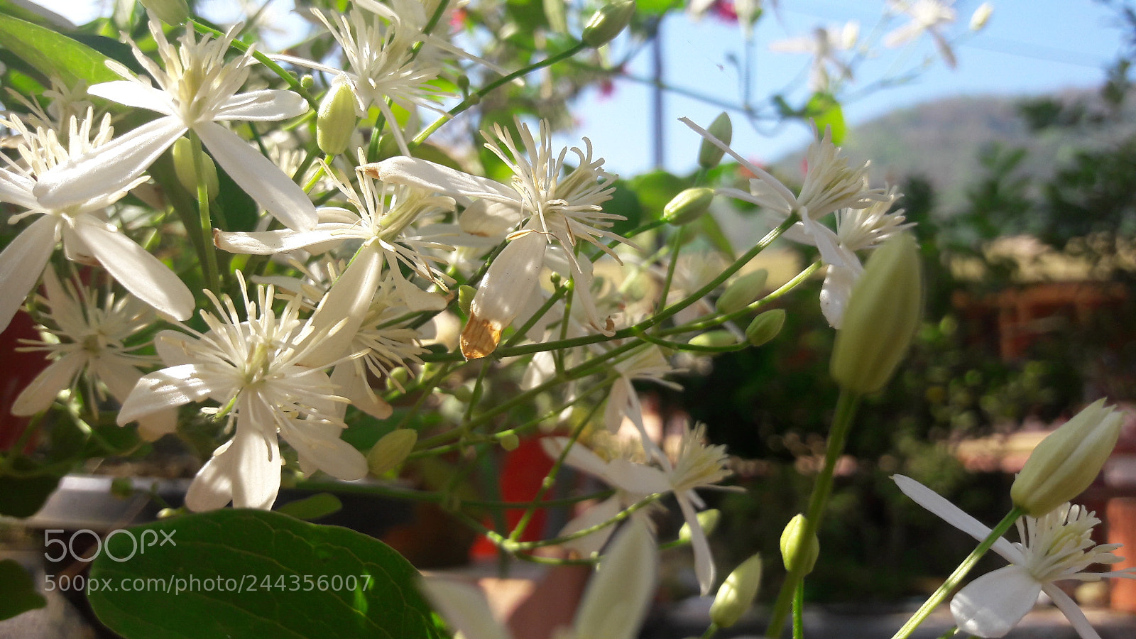 Samsung Galaxy J7 sample photo. Untitled photography