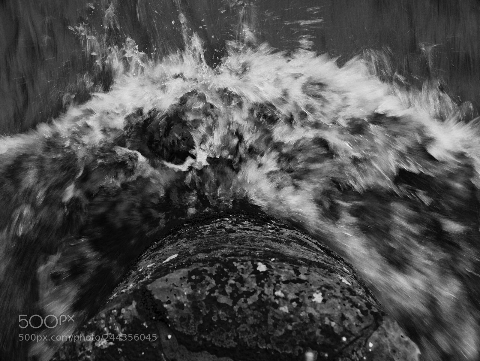 Panasonic Lumix DMC-GX7 sample photo. Froth and fury photography