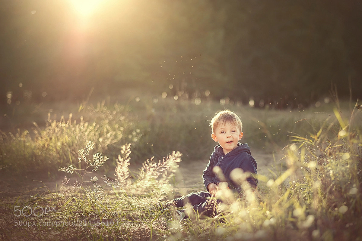 Nikon D610 sample photo. ... photography