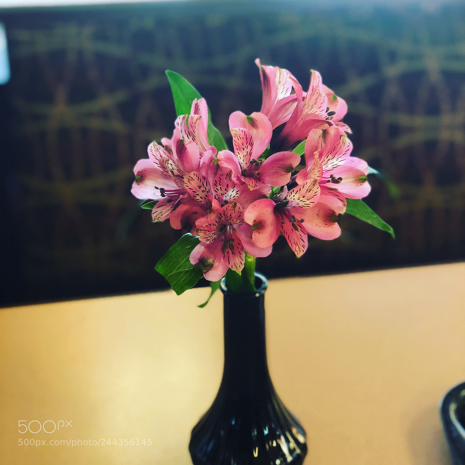 Apple iPhone X sample photo. Chick fil a photography