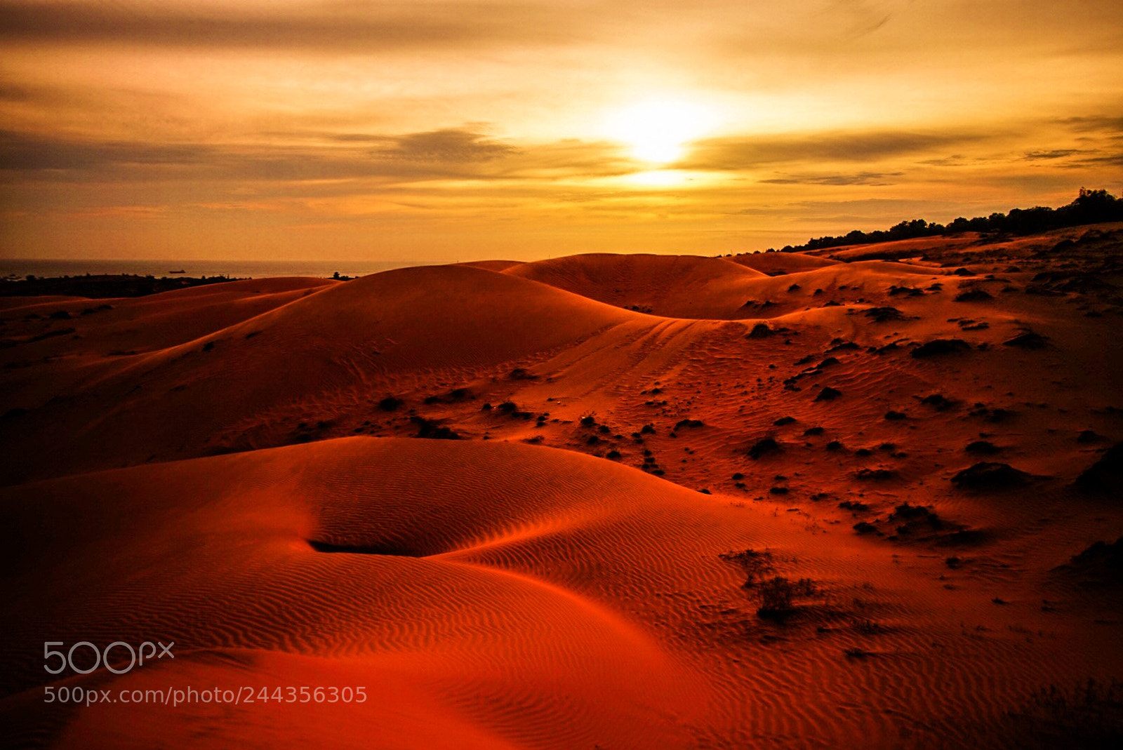 Sony Alpha a5000 (ILCE 5000) sample photo. Desert photography