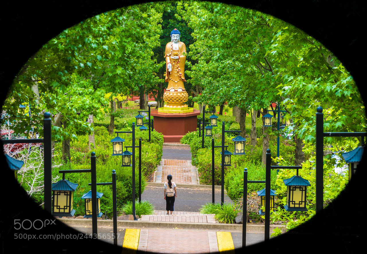 Nikon D810 sample photo. Fo guang shan nan photography