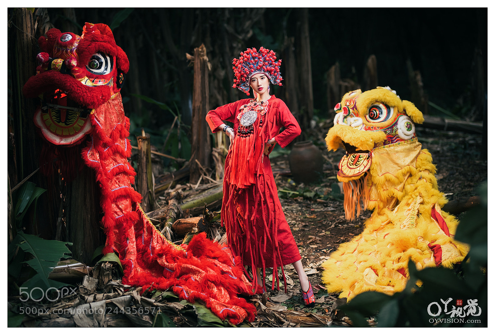 Nikon D810 sample photo. Untitled photography