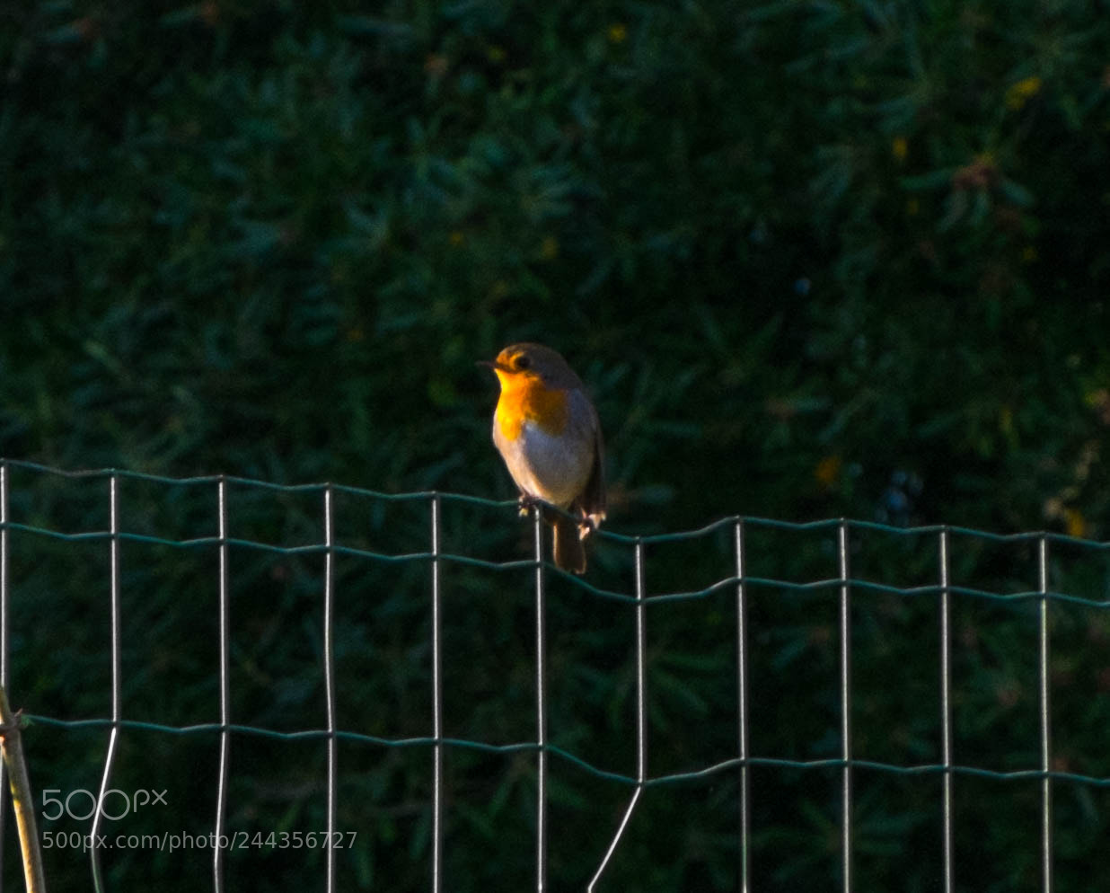 Fujifilm X-E1 sample photo. Untitled photography