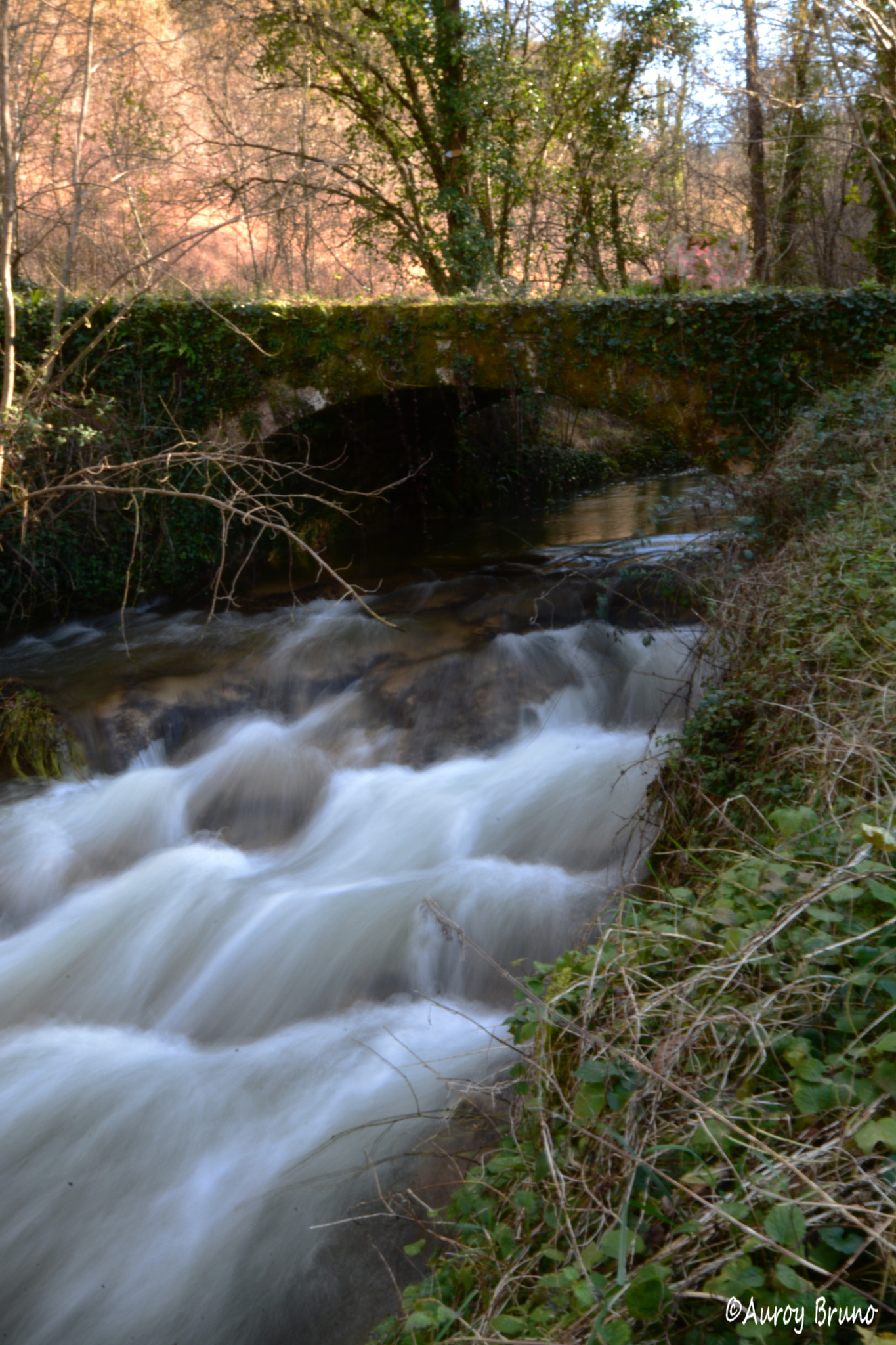 Nikon D7100 + Sigma 10-20mm F4-5.6 EX DC HSM sample photo. Dsc photography