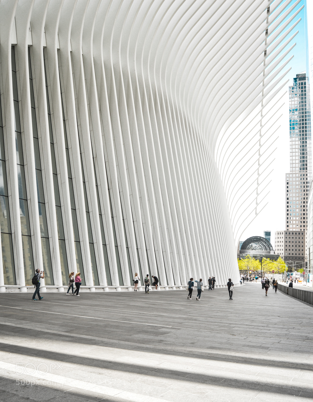 Nikon D3200 sample photo. The oculus photography