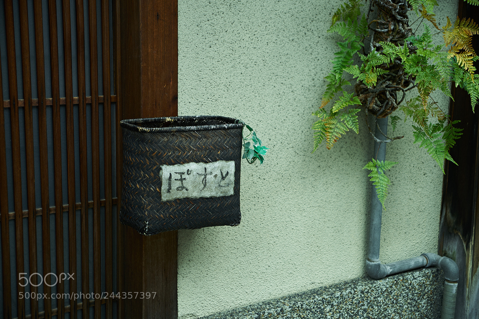Sony a7 II sample photo. Post photography